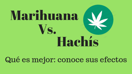 MarihuanaVs.Hachís